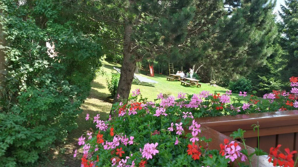 Hotel Trentino Фольгария Экстерьер фото
